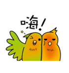 two noise birds.（個別スタンプ：1）