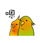 two noise birds.（個別スタンプ：2）