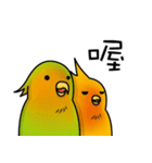 two noise birds.（個別スタンプ：3）