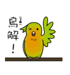 two noise birds.（個別スタンプ：10）