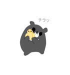 月くま（個別スタンプ：16）