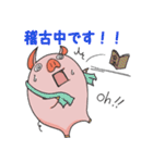 ブタイちゃんスタンプ for 役者（個別スタンプ：13）