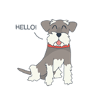 Suri the Schnauzer（個別スタンプ：1）