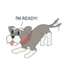 Suri the Schnauzer（個別スタンプ：2）