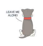 Suri the Schnauzer（個別スタンプ：3）