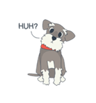 Suri the Schnauzer（個別スタンプ：4）