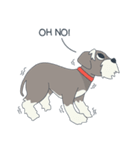 Suri the Schnauzer（個別スタンプ：5）