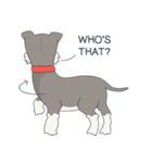 Suri the Schnauzer（個別スタンプ：6）
