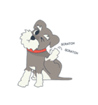 Suri the Schnauzer（個別スタンプ：8）