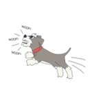 Suri the Schnauzer（個別スタンプ：10）