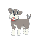 Suri the Schnauzer（個別スタンプ：11）