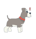 Suri the Schnauzer（個別スタンプ：12）
