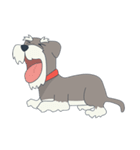Suri the Schnauzer（個別スタンプ：15）
