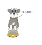 Suri the Schnauzer（個別スタンプ：16）