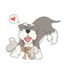 Suri the Schnauzer（個別スタンプ：17）