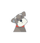 Suri the Schnauzer（個別スタンプ：18）