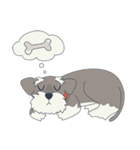 Suri the Schnauzer（個別スタンプ：20）