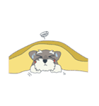 Suri the Schnauzer（個別スタンプ：22）