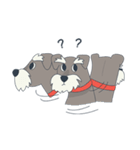 Suri the Schnauzer（個別スタンプ：23）