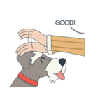 Suri the Schnauzer（個別スタンプ：24）