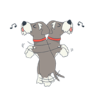 Suri the Schnauzer（個別スタンプ：25）