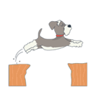Suri the Schnauzer（個別スタンプ：26）