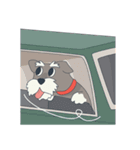 Suri the Schnauzer（個別スタンプ：28）