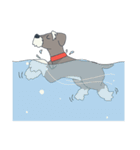 Suri the Schnauzer（個別スタンプ：29）