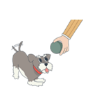 Suri the Schnauzer（個別スタンプ：32）