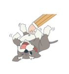 Suri the Schnauzer（個別スタンプ：34）