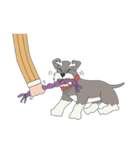 Suri the Schnauzer（個別スタンプ：36）
