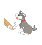 Suri the Schnauzer（個別スタンプ：39）