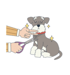 Suri the Schnauzer（個別スタンプ：40）