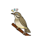 Streak-eared bulbul bird（個別スタンプ：11）