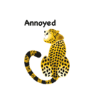 Cheetah（個別スタンプ：13）