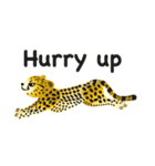 Cheetah（個別スタンプ：15）
