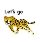 Cheetah（個別スタンプ：16）