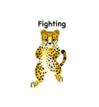 Cheetah（個別スタンプ：23）