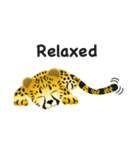 Cheetah（個別スタンプ：25）
