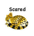 Cheetah（個別スタンプ：28）