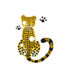 Cheetah（個別スタンプ：29）