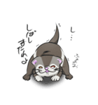 我が家のふぇれズ（個別スタンプ：5）