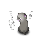 我が家のふぇれズ（個別スタンプ：9）