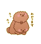 まったり敬語トイプードル（個別スタンプ：3）