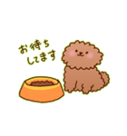 まったり敬語トイプードル（個別スタンプ：21）