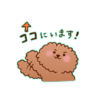 まったり敬語トイプードル（個別スタンプ：23）