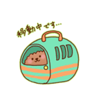 まったり敬語トイプードル（個別スタンプ：25）