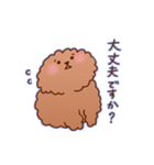まったり敬語トイプードル（個別スタンプ：34）