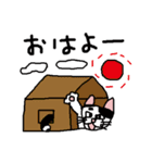 ネコマロ（個別スタンプ：3）