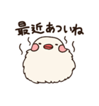 ぶんぶんどり（個別スタンプ：17）